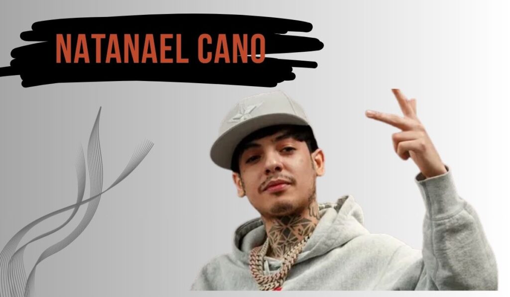  Future Financial Outlook for Natanael Cano